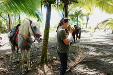 Costa Rica-Caribbean Coast-Caribe Ride